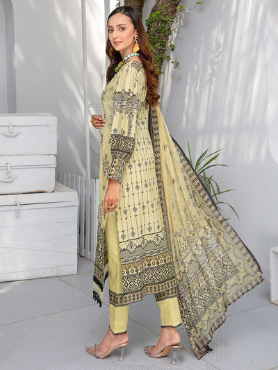 Afreen By Aalaya Stitched 3 Pc Embroidered Lawn Suit - 23V-13 - D6 - Luxury Summer Collection D & M COLLECTION AND NIZAMI JEWELRY