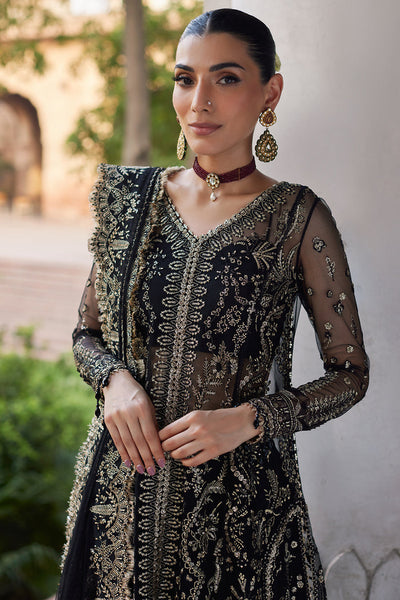 Dastangoi By Afrozeh Unstitched 3 Piece Embroidered Net Suit DGAF23 AWE-23-V1-06 Nafeesa - Wedding Collection