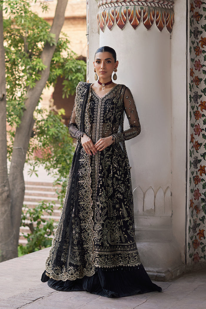 Dastangoi By Afrozeh Unstitched 3 Piece Embroidered Net Suit DGAF23 AWE-23-V1-06 Nafeesa - Wedding Collection