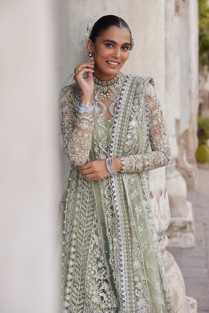 Dastangoi By Afrozeh Unstitched 3 Piece Embroidered Net Suit DGAF23 AWE-23-V1-08 Nigar - Wedding Collection