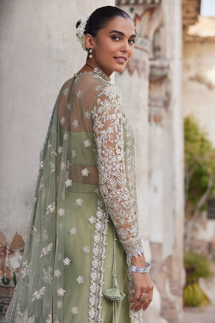 Dastangoi By Afrozeh Unstitched 3 Piece Embroidered Net Suit DGAF23 AWE-23-V1-08 Nigar - Wedding Collection