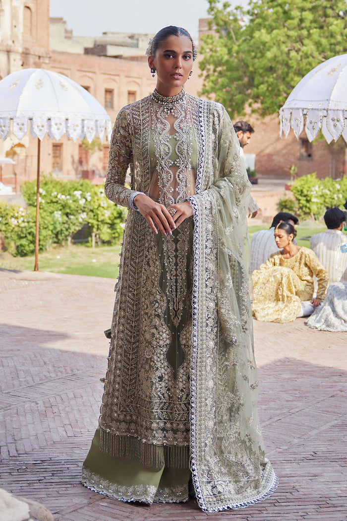 Dastangoi By Afrozeh Unstitched 3 Piece Embroidered Net Suit DGAF23 AWE-23-V1-08 Nigar - Wedding Collection