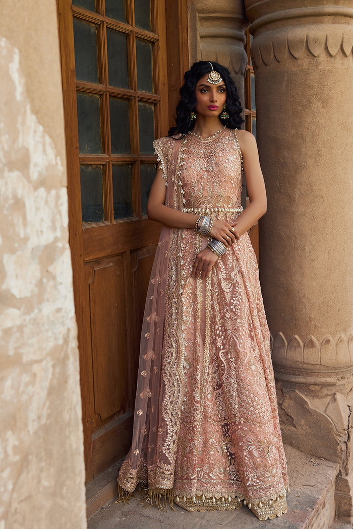 Dastangoi By Afrozeh Unstitched 3 Piece Embroidered Net Suit DGAF23 AWE-23-V1-10 Madhur - Wedding Collection