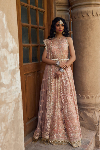 Dastangoi By Afrozeh Unstitched 3 Piece Embroidered Net Suit DGAF23 AWE-23-V1-10 Madhur - Wedding Collection