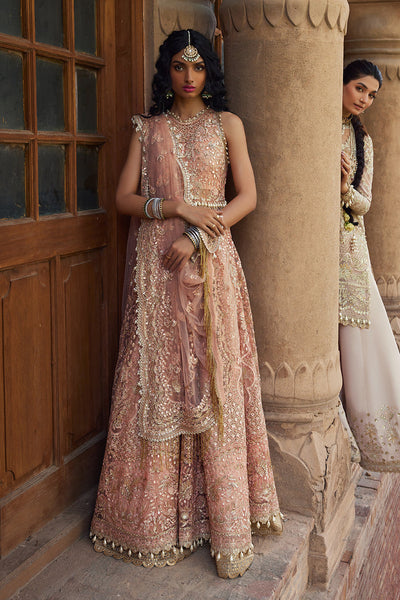 Dastangoi By Afrozeh Unstitched 3 Piece Embroidered Net Suit DGAF23 AWE-23-V1-10 Madhur - Wedding Collection