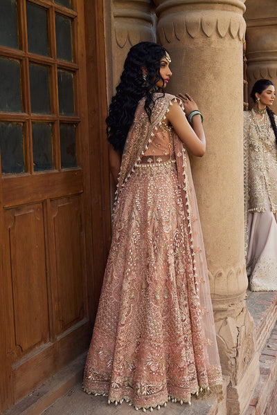 Dastangoi By Afrozeh Unstitched 3 Piece Embroidered Net Suit DGAF23 AWE-23-V1-10 Madhur - Wedding Collection