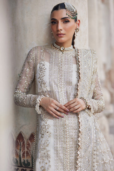 Dastangoi By Afrozeh Unstitched 3 Piece Embroidered Organza Suit DGAF23 AWE-23-V1-02 Noori - Wedding Collection