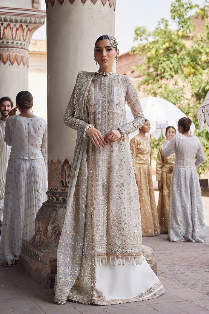 Dastangoi By Afrozeh Unstitched 3 Piece Embroidered Organza Suit DGAF23 AWE-23-V1-02 Noori - Wedding Collection