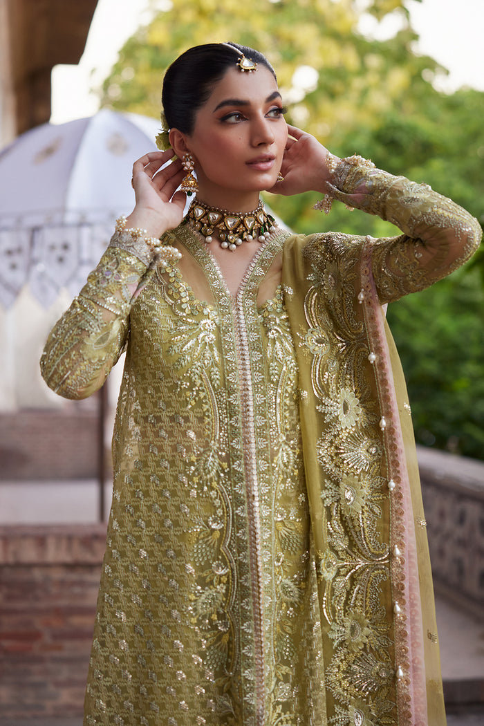 Dastangoi By Afrozeh Unstitched 3 Piece Embroidered Organza Suit DGAF23 AWE-23-V1-03 Shehnaz - Wedding Collection