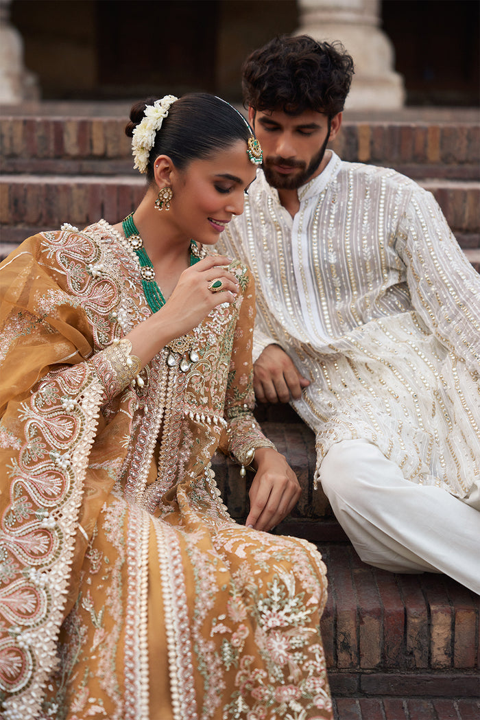 Dastangoi By Afrozeh Unstitched 3 Piece Embroidered Organza Suit DGAF23 AWE-23-V1-09 Shafaq - Wedding Collection