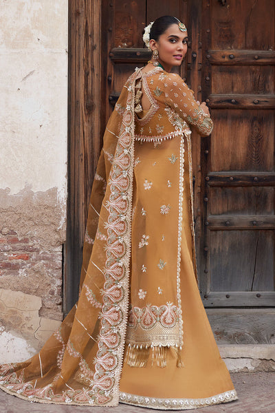 Dastangoi By Afrozeh Unstitched 3 Piece Embroidered Organza Suit DGAF23 AWE-23-V1-09 Shafaq - Wedding Collection