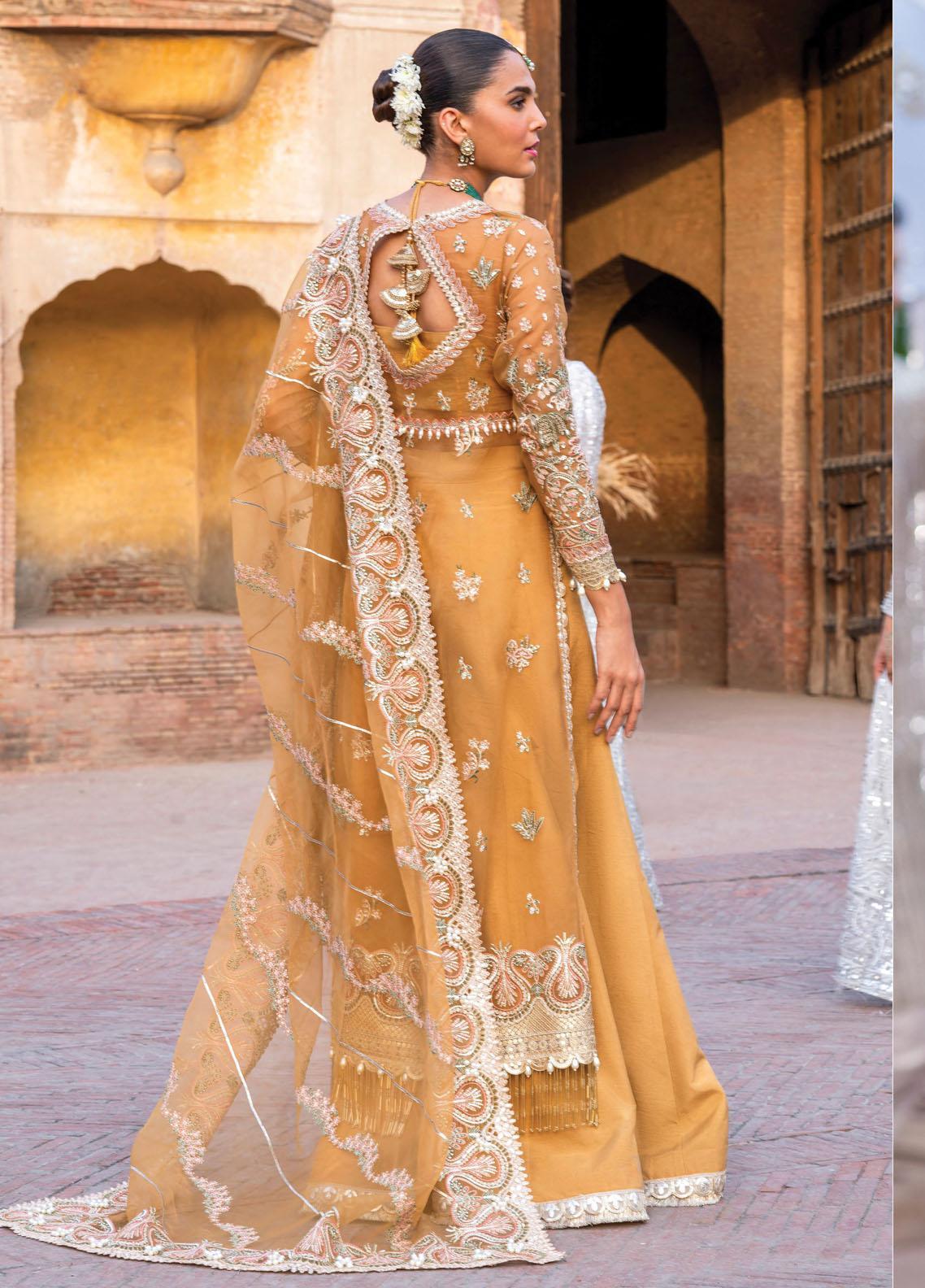 Dastangoi By Afrozeh Unstitched 3 Piece Embroidered Organza Suit DGAF23 AWE-23-V1-09 Shafaq - Wedding Collection