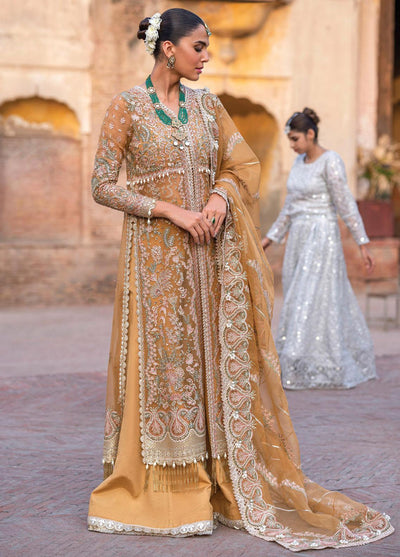 Dastangoi By Afrozeh Unstitched 3 Piece Embroidered Organza Suit DGAF23 AWE-23-V1-09 Shafaq - Wedding Collection