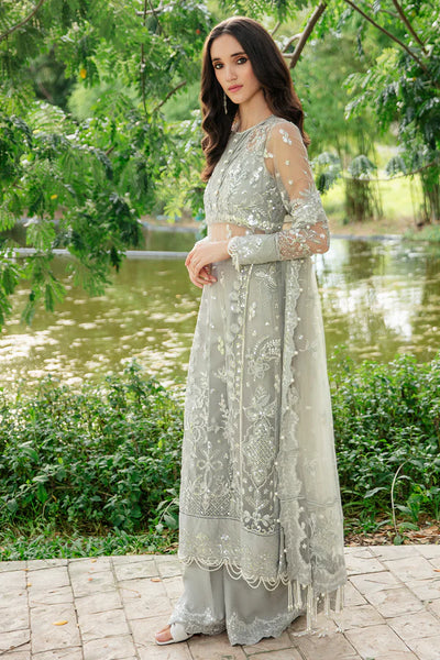 Luminous By Saad Shaikh Unstitched 4 Piece Embroidered Net Suit SSK23L Ilana - Formal Collection