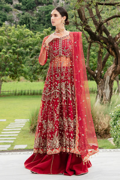 Luminous By Saad Shaikh Unstitched 4 Piece Embroidered Net Suit SSK23L Livia - Formal Collection