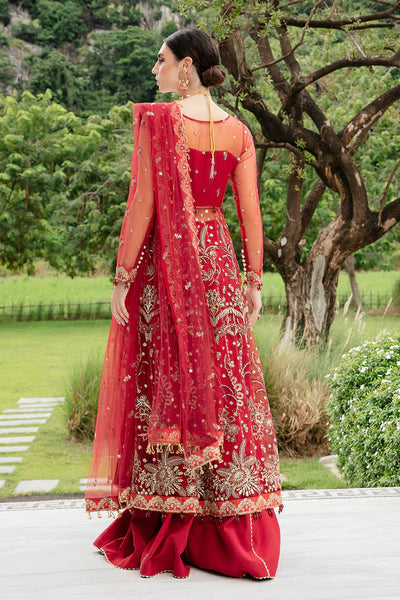 Luminous By Saad Shaikh Unstitched 4 Piece Embroidered Net Suit SSK23L Livia - Formal Collection