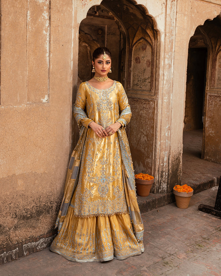 Nira by Faiza Saqlain Unstitched 3 Piece Embroidered Shimmer Suit NFQ23 NFQ-Sozan - Luxury Wedding Collection