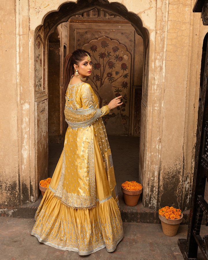 Nira by Faiza Saqlain Unstitched 3 Piece Embroidered Shimmer Suit NFQ23 NFQ-Sozan - Luxury Wedding Collection