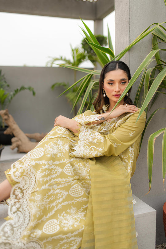 Qline by Qalamkar Stitched 3 Piece Embroidered Lawn Suit QLM24Q JK-02 MELIS - Summer Collection