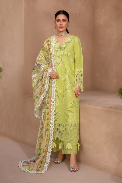 Rang Rasiya Premium Unstitched 3 Piece Embroidered Lawn Suit D-05 LIME - Luxury Summer Collection D & M COLLECTION AND NIZAMI JEWELRY