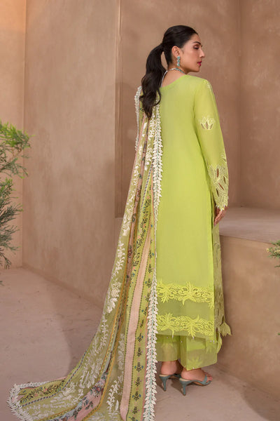 Rang Rasiya Premium Unstitched 3 Piece Embroidered Lawn Suit D-05 LIME - Luxury Summer Collection D & M COLLECTION AND NIZAMI JEWELRY