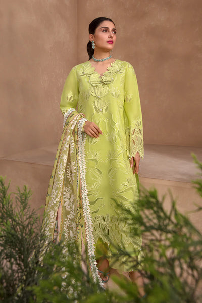 Rang Rasiya Premium Unstitched 3 Piece Embroidered Lawn Suit D-05 LIME - Luxury Summer Collection D & M COLLECTION AND NIZAMI JEWELRY