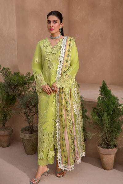 Rang Rasiya Premium Unstitched 3 Piece Embroidered Lawn Suit D-05 LIME - Luxury Summer Collection D & M COLLECTION AND NIZAMI JEWELRY