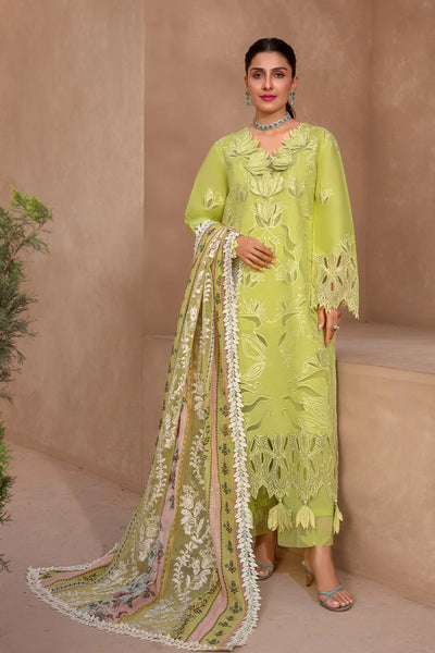 Rang Rasiya Premium Unstitched 3 Piece Embroidered Lawn Suit D-05 LIME - Luxury Summer Collection D & M COLLECTION AND NIZAMI JEWELRY