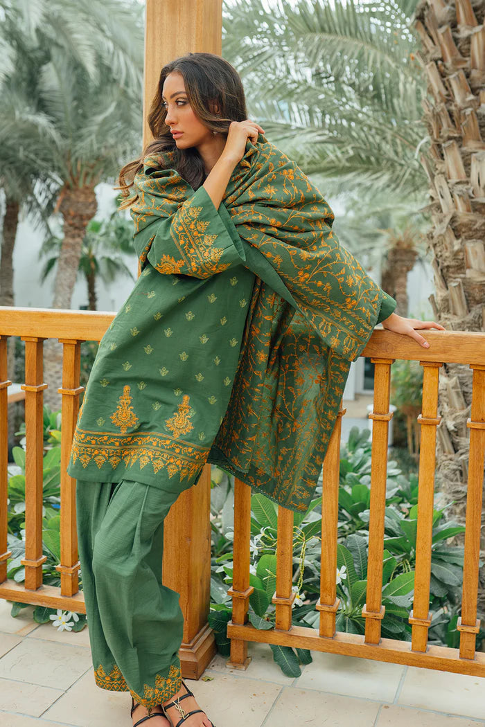 Saira Rizwan Stitched 3 Piece Embroidered Khaddar Suit SR21W SR-08 ESHAAL - Winter Collection