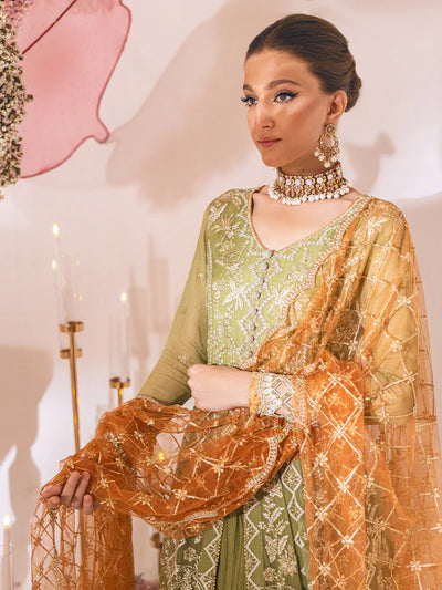 Sawariya By Roheenaz Luxury Kalidaar Unstitched 4 Piece Embroidered Chiffon Suit - RUNCH230105 - Luxury Chiffon Collection 2023 D & M COLLECTION AND NIZAMI JEWELRY