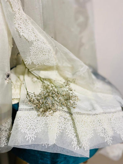 Stitched Stunning Silk Suit With Soft Organza Dupatta - RTW-09 - Luxury D&M Signature Eid Collection D & M COLLECTION AND NIZAMI JEWELRY