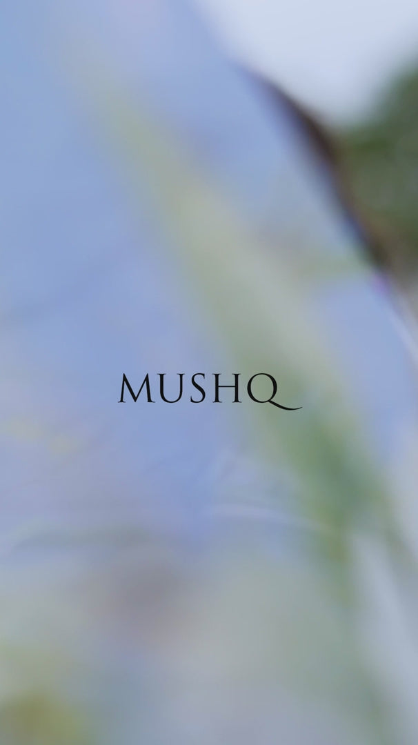 The Secret Garden by Mushq Stitched 3 Piece Embroidered Lawn Suit MQ24SG D-8A MYOSOTIS - Summer Collection