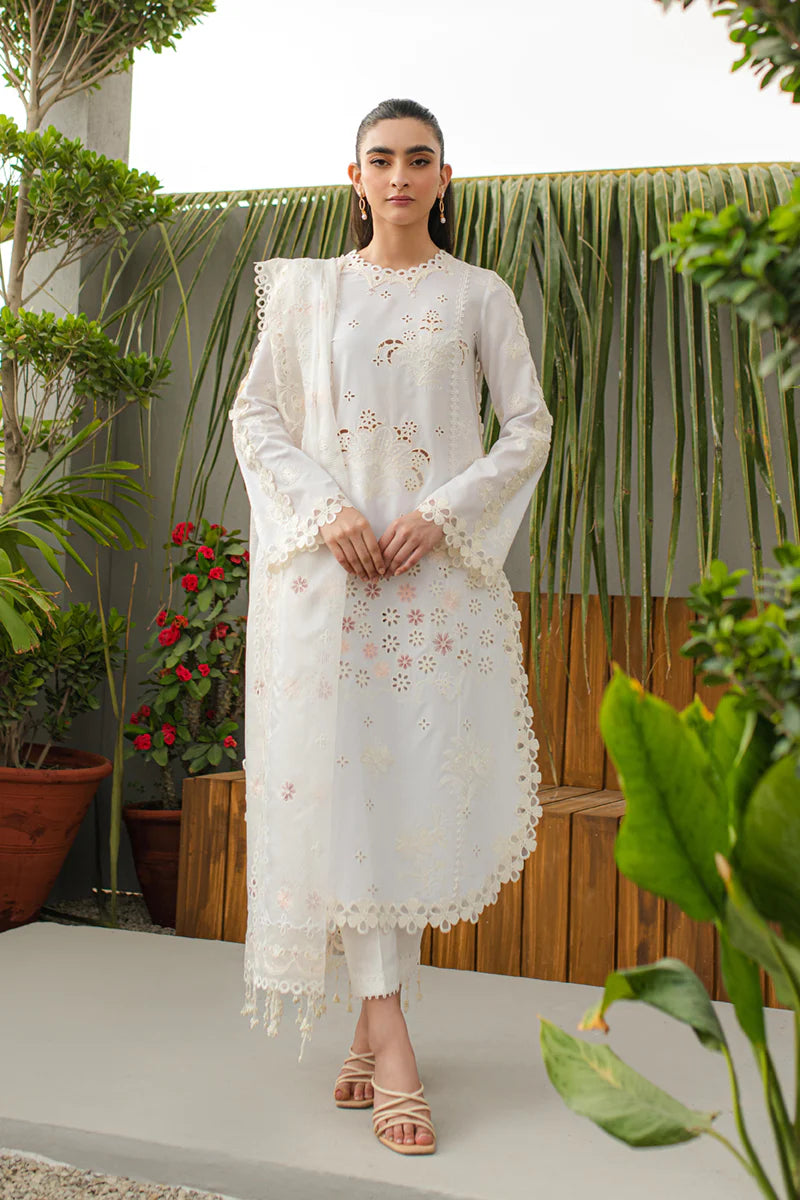 Qline by Qalamkar Stitched 3 Piece Embroidered Lawn Suit QLM24Q JK-10 ORLA - Summer Collection