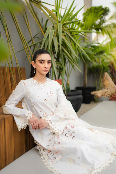 Qline by Qalamkar Stitched 3 Piece Embroidered Lawn Suit QLM24Q JK-10 ORLA - Summer Collection