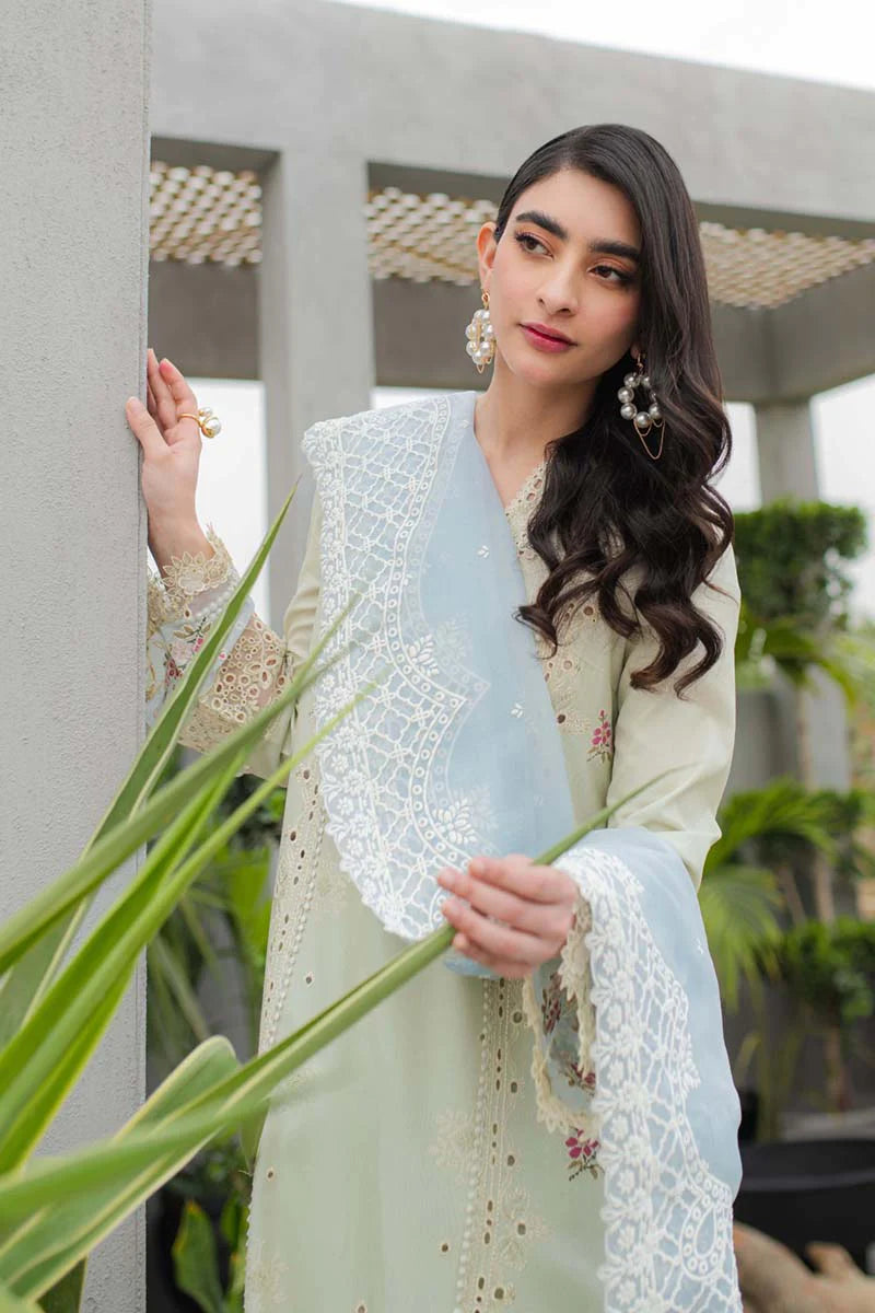 Qline by Qalamkar Stitched 3 Piece Embroidered Lawn Suit QLM24Q JK-04 ASTER - Summer Collection