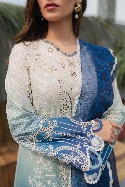 Qline by Qalamkar Stitched 3 Piece Embroidered Lawn Suit QLM24Q JK-07 ELZA - Summer Collection