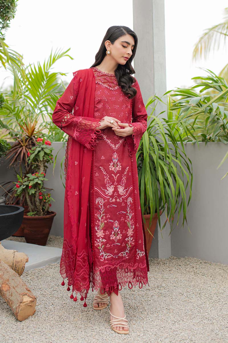 Qline by Qalamkar Stitched 3 Piece Embroidered Lawn Suit QLM24Q JK-14 MANON - Summer Collection