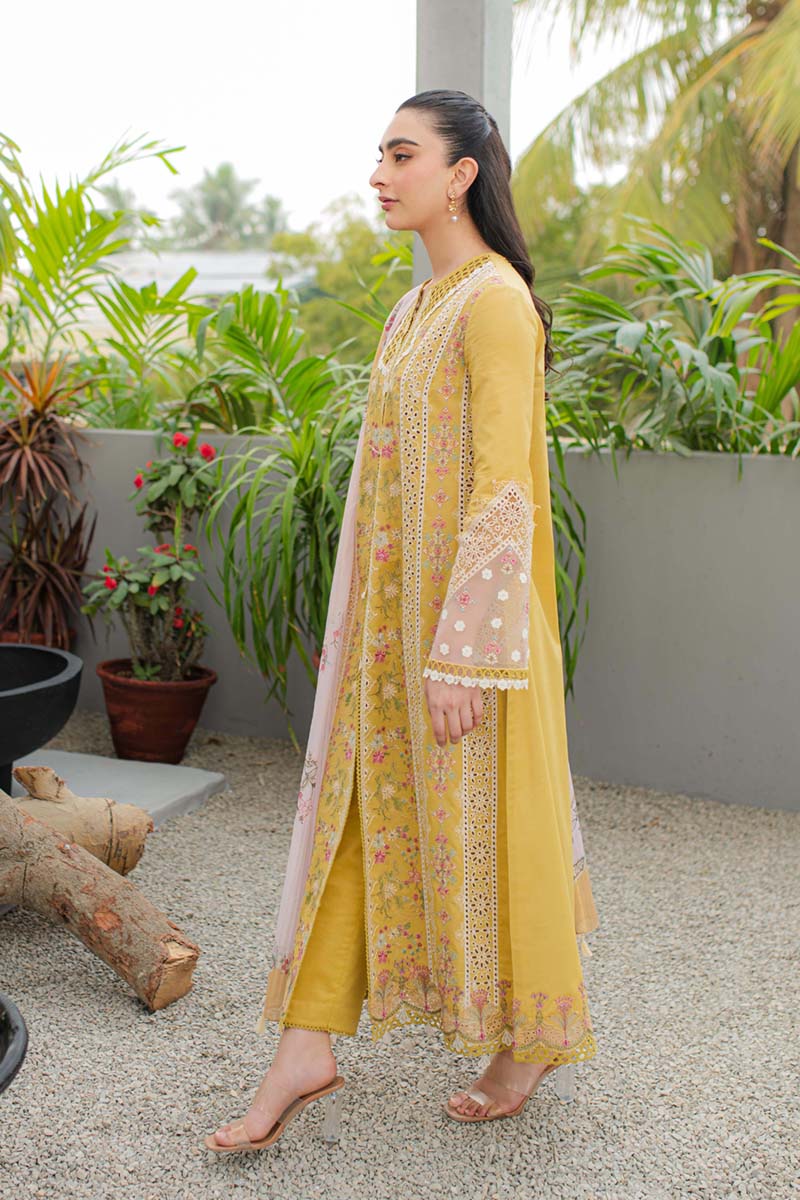 Qline by Qalamkar Stitched 3 Piece Embroidered Lawn Suit QLM24Q JK-15 MIEL - Summer Collection