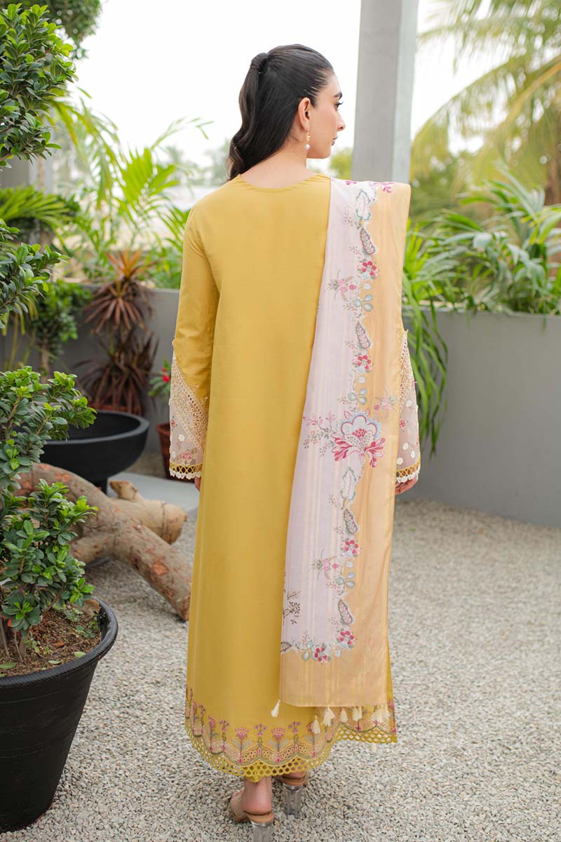 Qline by Qalamkar Stitched 3 Piece Embroidered Lawn Suit QLM24Q JK-15 MIEL - Summer Collection