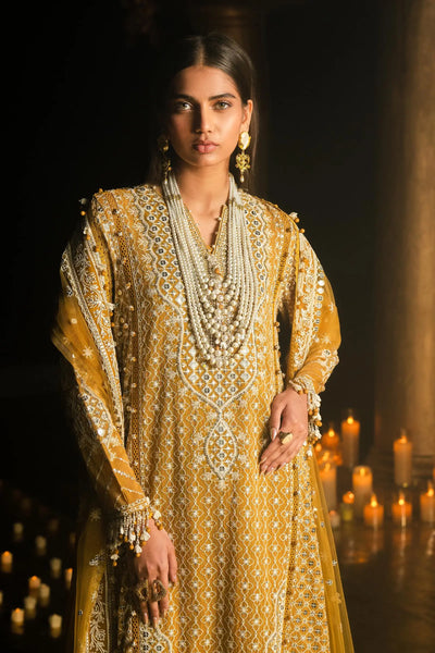 Sana Safinaz Stitched 3 Piece Embroidered Suit SS24UL 02B - Luxury Collection